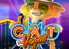 Cat in Vegas