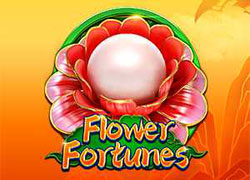 Flower Fortunes