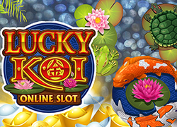 Lucky Koi