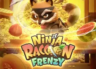 Ninja Raccoon Frenzy