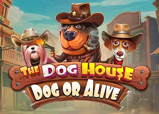 The Dog House - Dog Or Alive