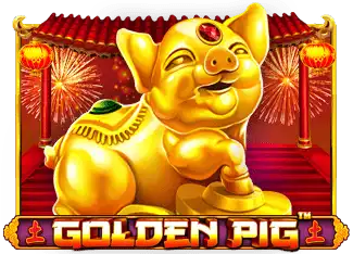 Golden Pig